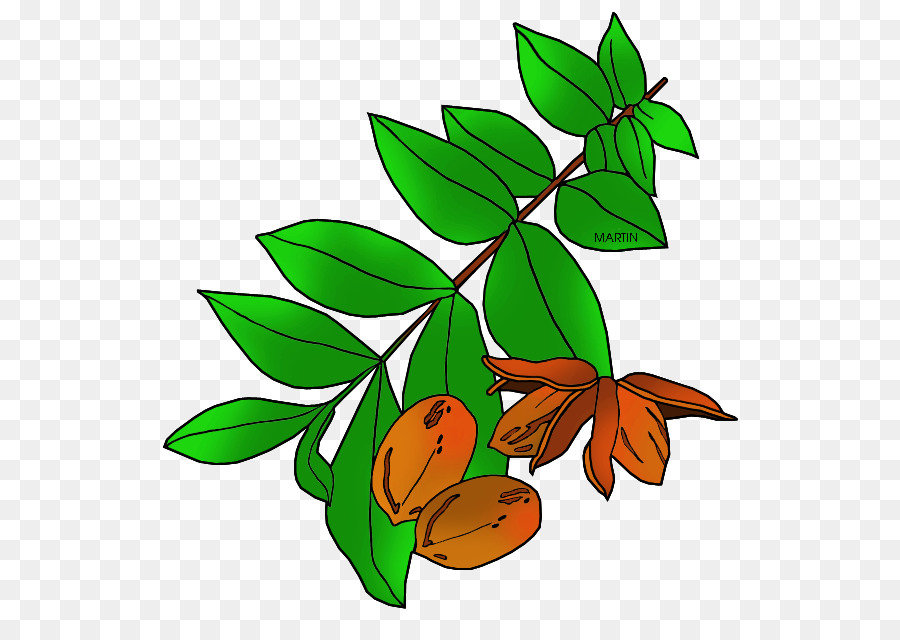 Flower Stem clipart.