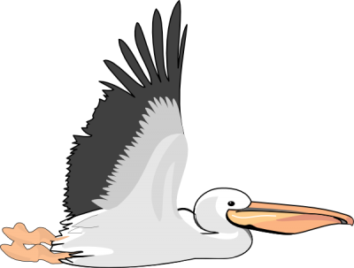 Download PELICAN Free PNG transparent image and clipart.