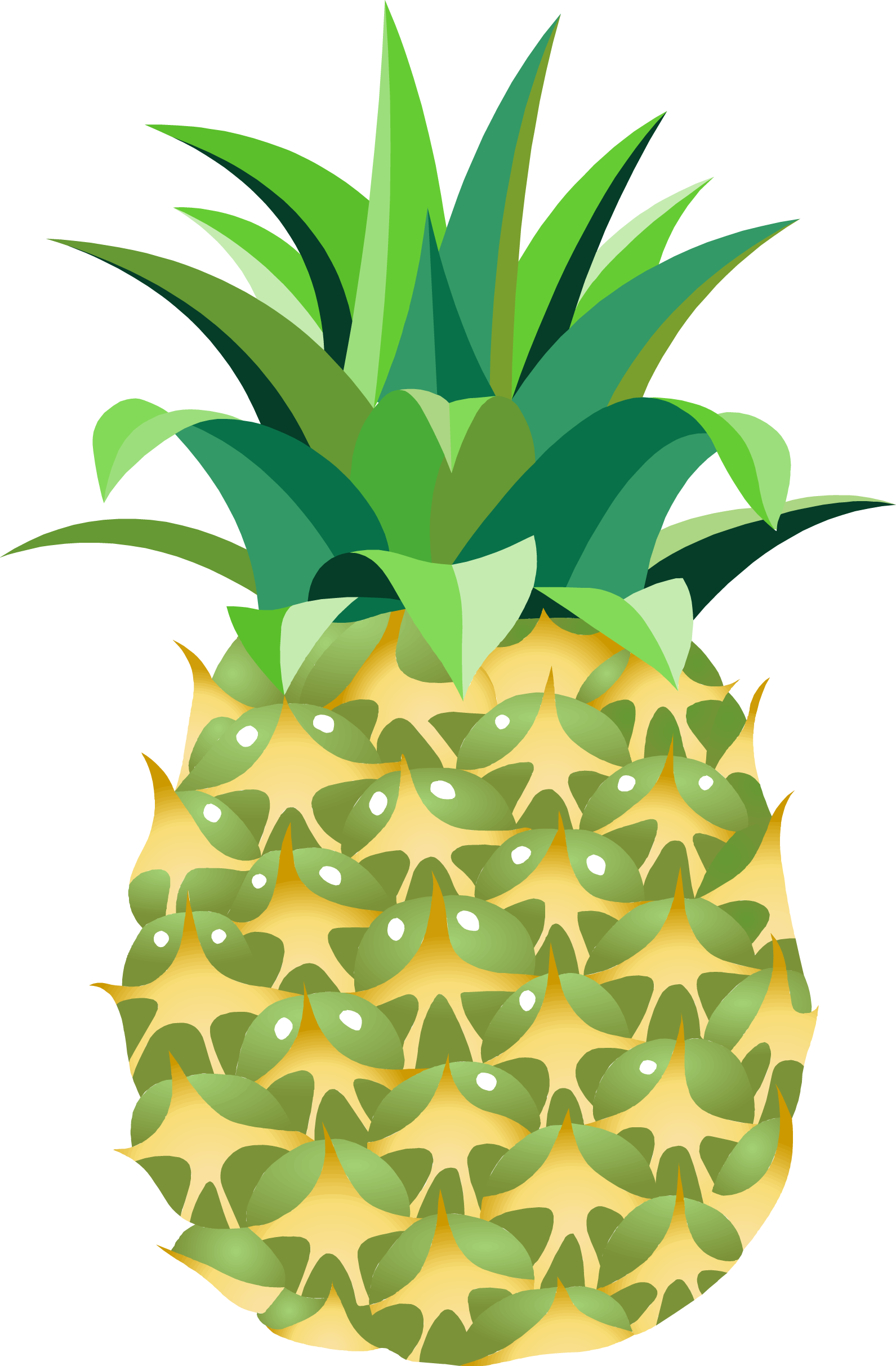 Pineapple Fourteen.