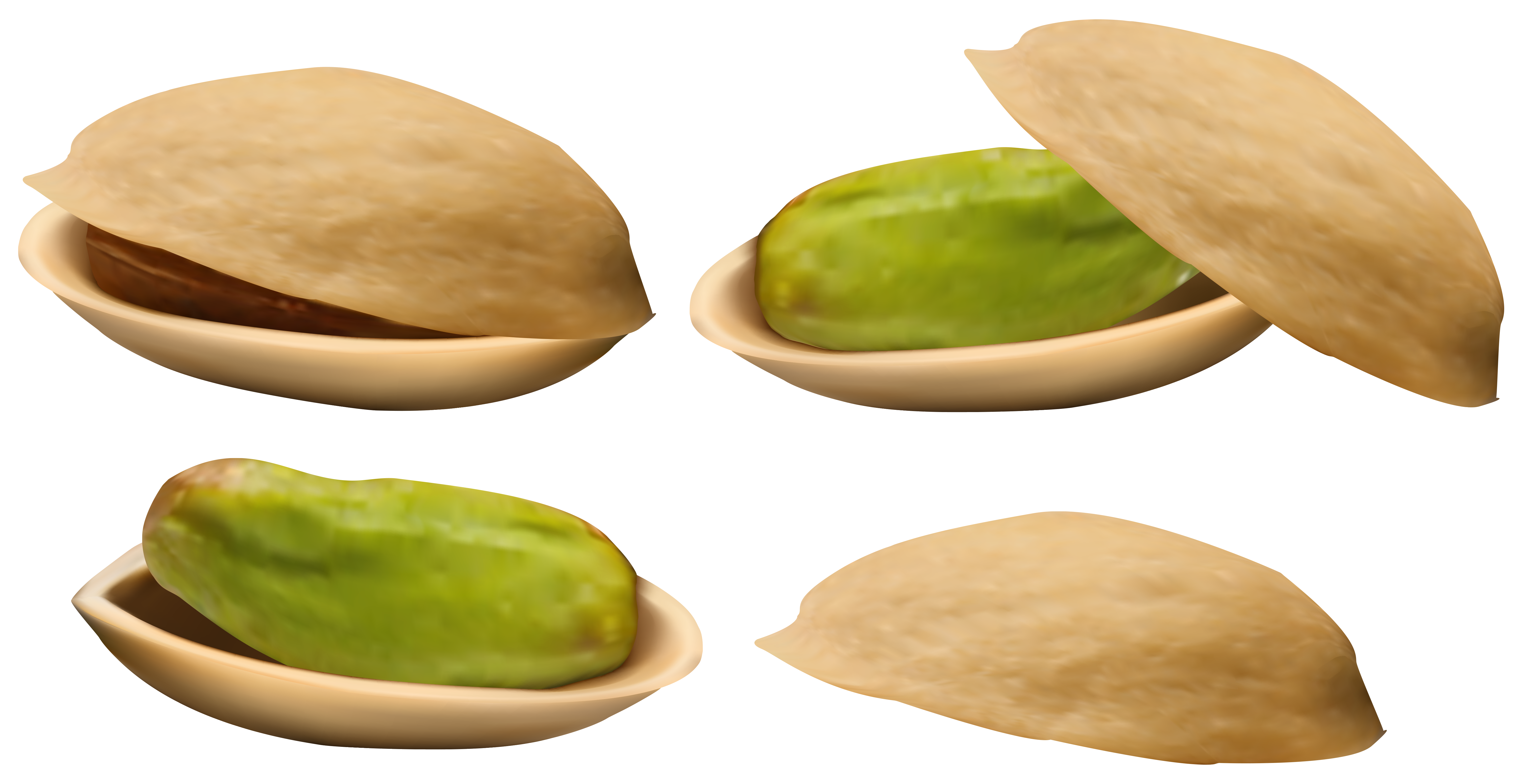 Pistachio PNG Clipart Image.