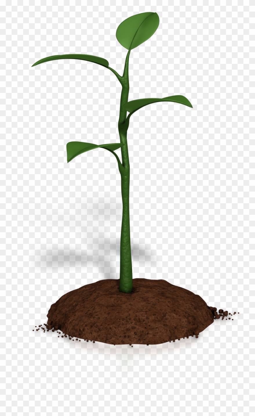 Soil Clipart Plant Growth.