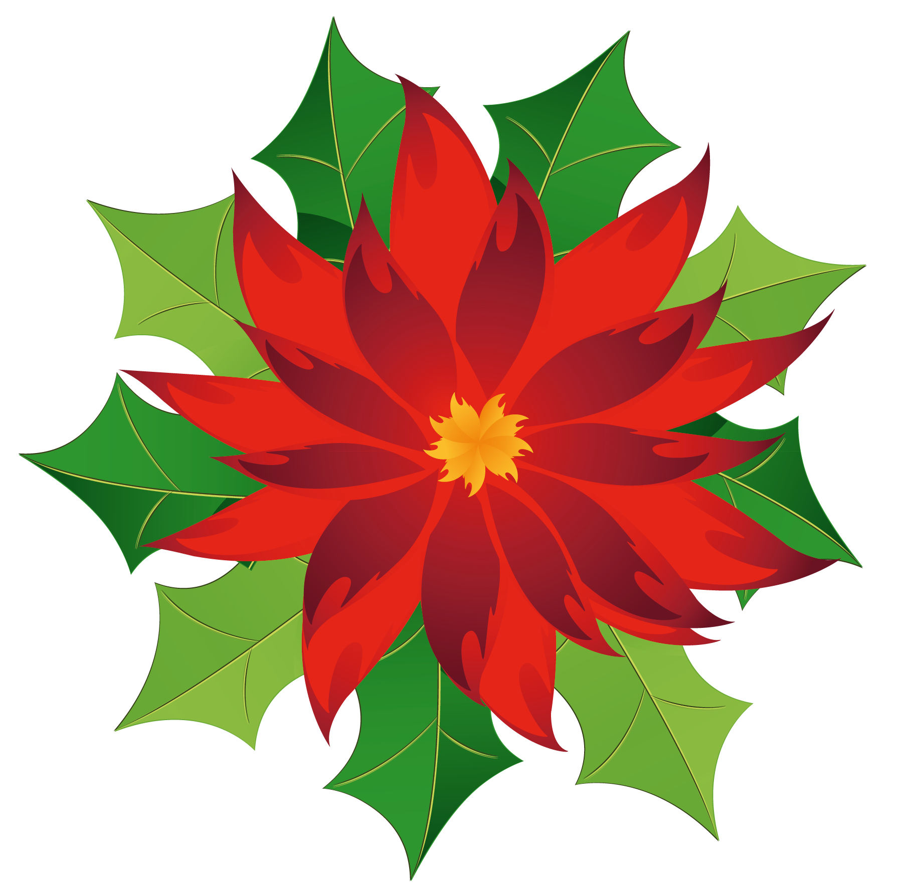 Christmas_Poinsettia_Clipart.png?m=1399672800.