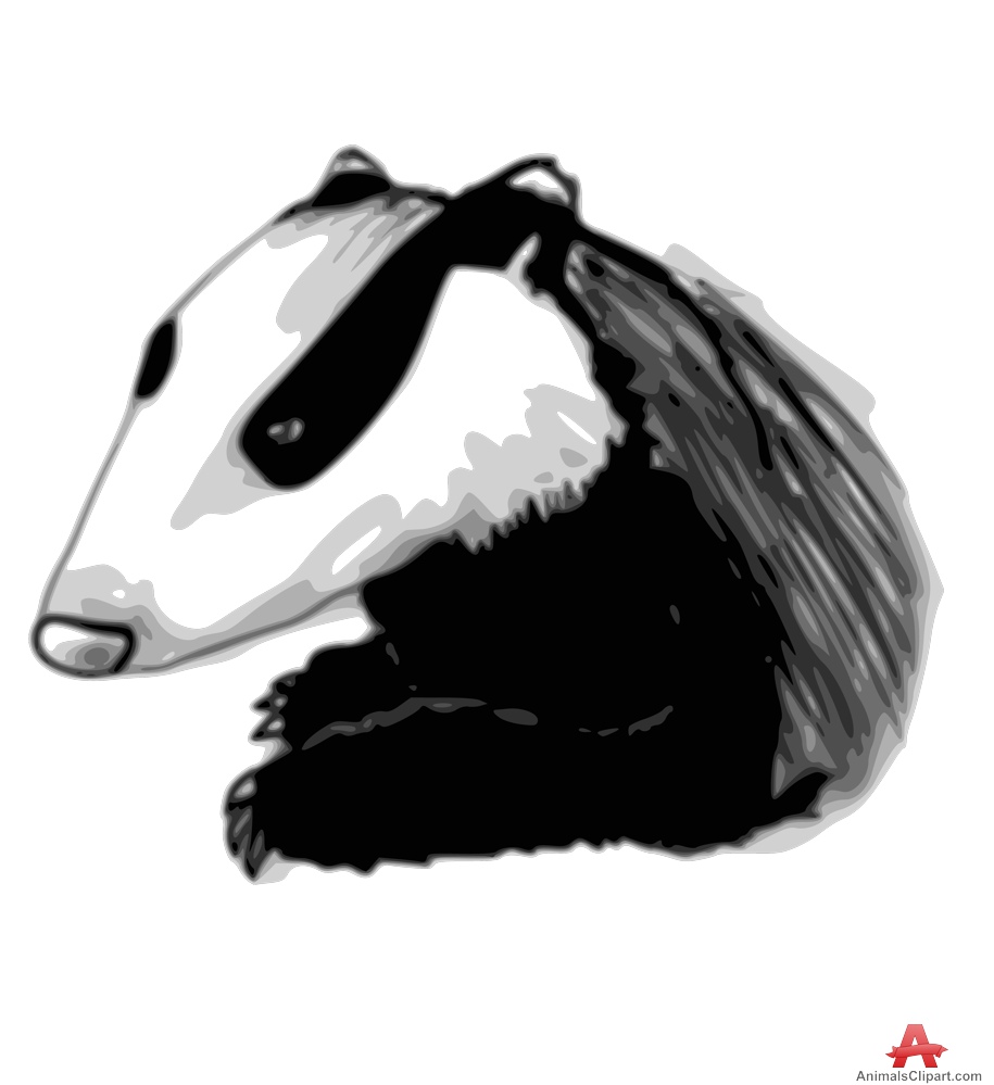 Animals Clipart of polecat.