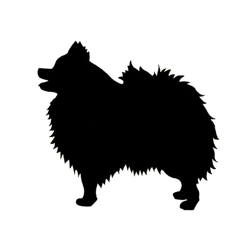 Pomeranian Vector at GetDrawings.com.