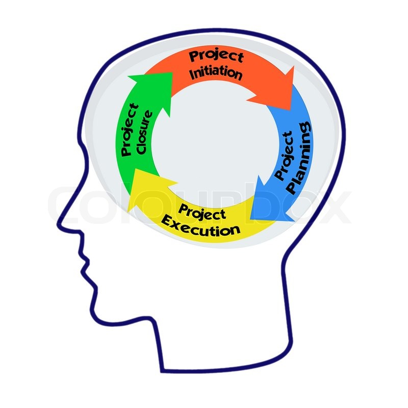 Head with PRINCE2 model for project.