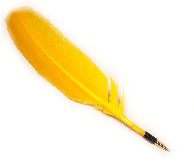 Quill Pens and Feather Quills for Traditional Writing.