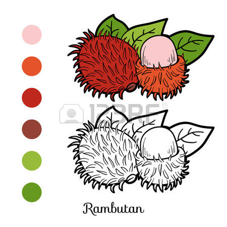 426 Rambutan Cliparts, Stock Vector And Royalty Free Rambutan.