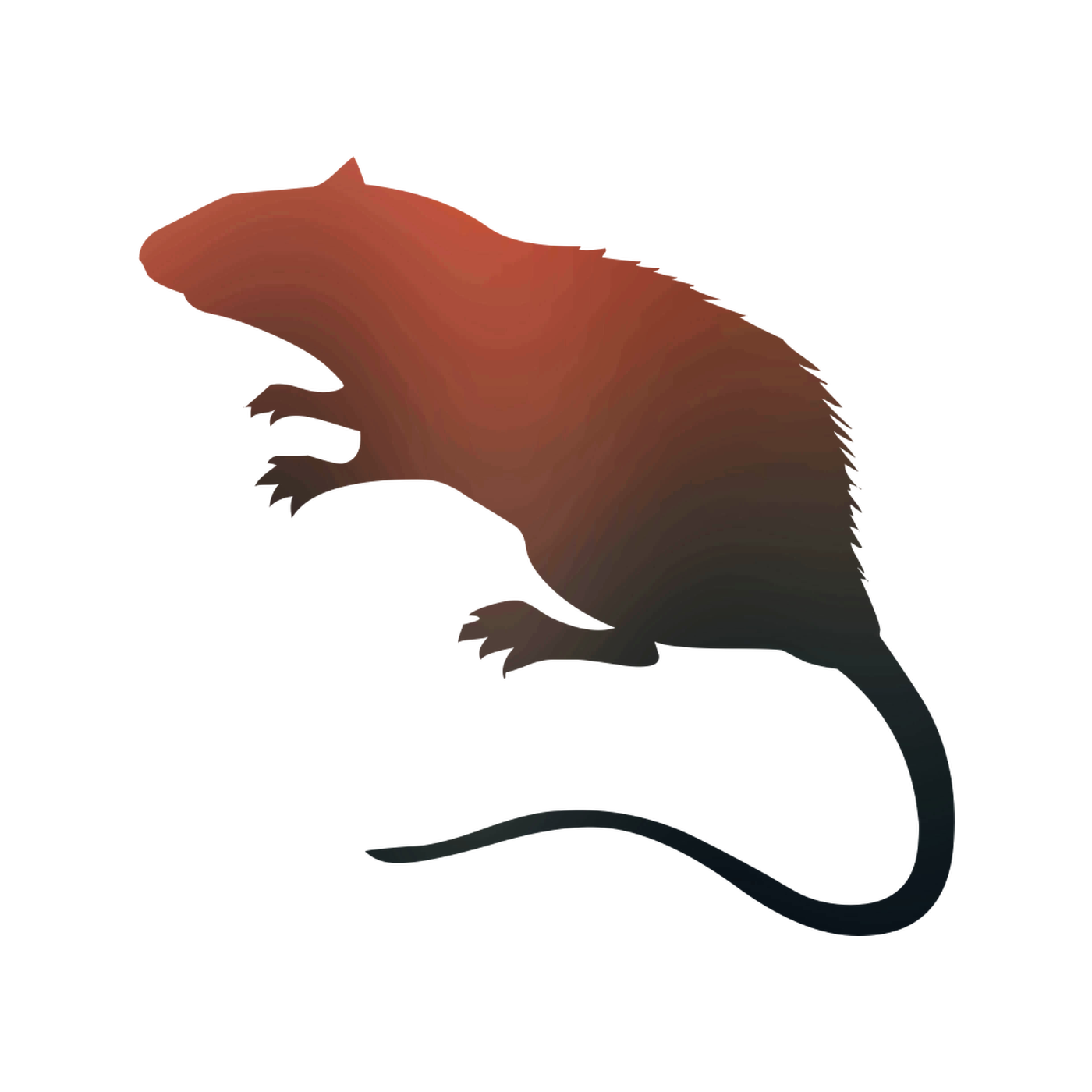 Rat Vector graphics Royalty.