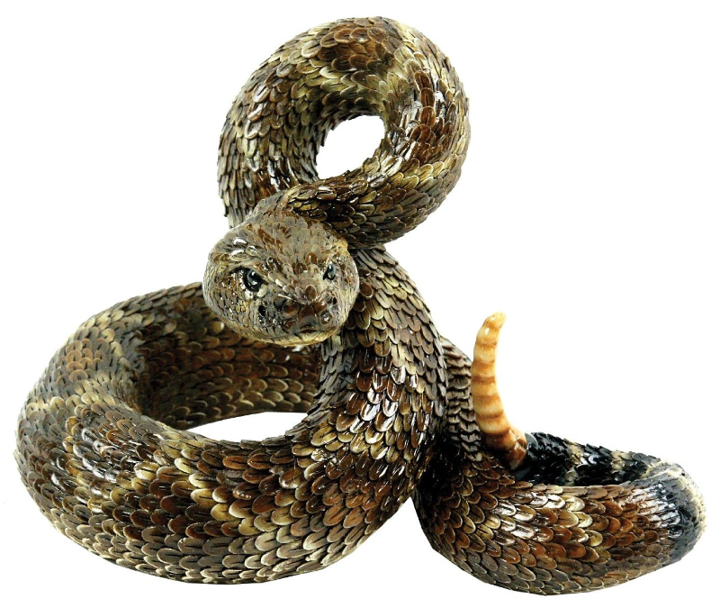 Rattlesnake PNG Transparent Rattlesnake.PNG Images..