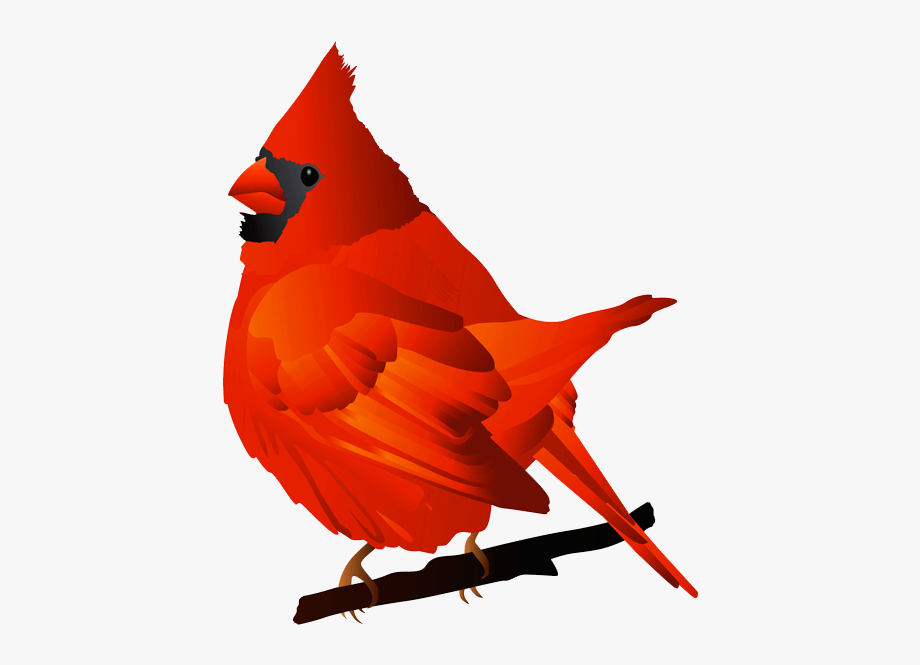 Free Cardinal Clipart.