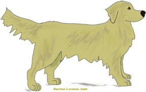 Retriever Clip Art Download.