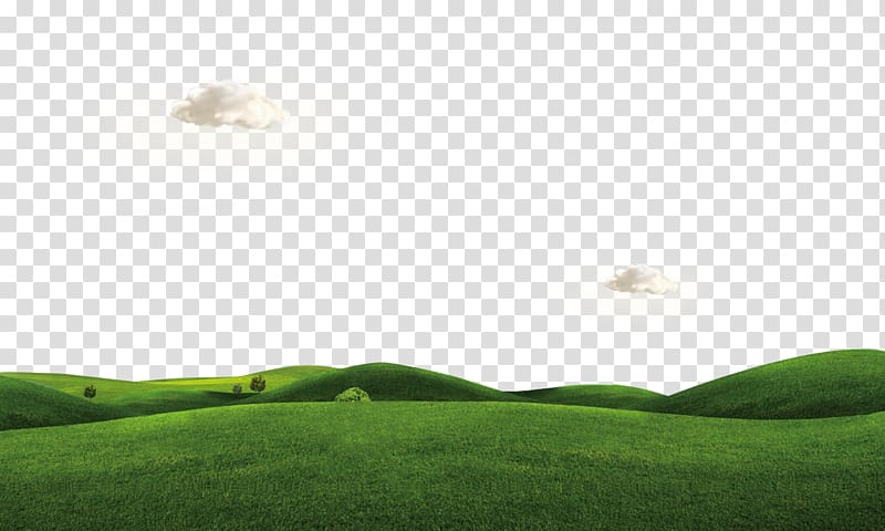 Green grass field under blue sky illustration, Lawn , Rumput.