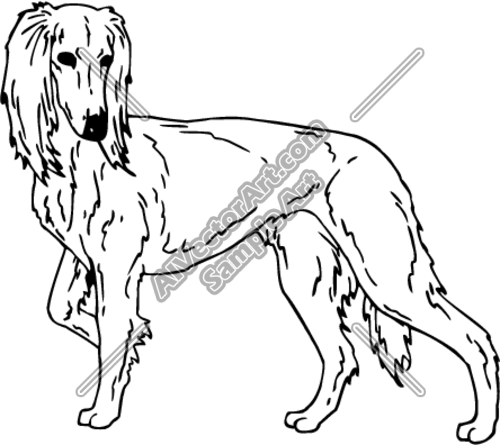 SALUKI Clipart and Vectorart: Animals.