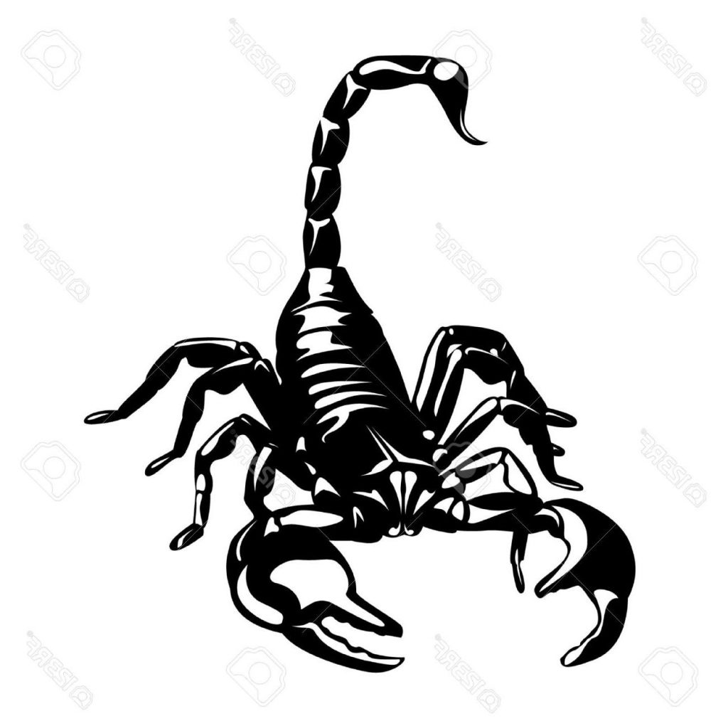 Scorpion clipart 6 » Clipart Station.