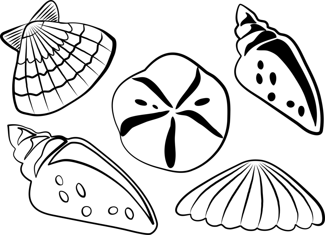 Sea shell clipart black and white 4 » Clipart Portal.