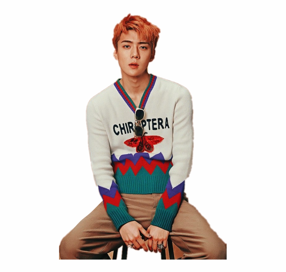 exo #sehun #sehun Exo #sticker #png.