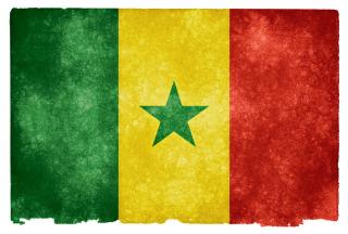 Senegal grunge flag Photo.