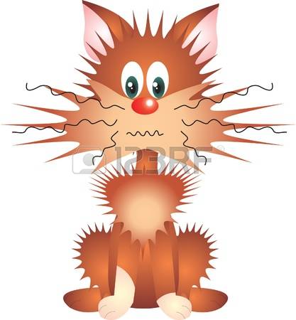 899 Shaggy Fur Stock Vector Illustration And Royalty Free Shaggy.