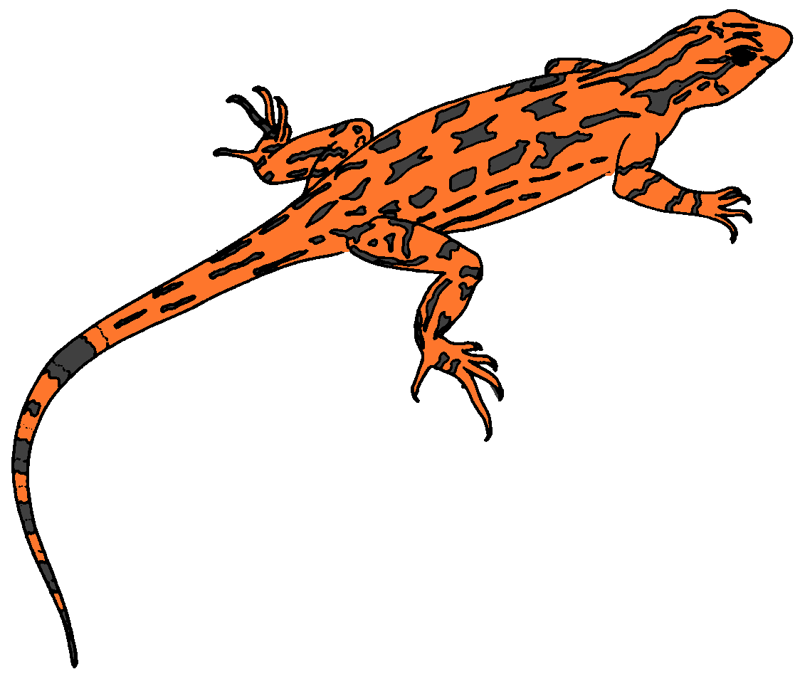 Lizard Clipart.