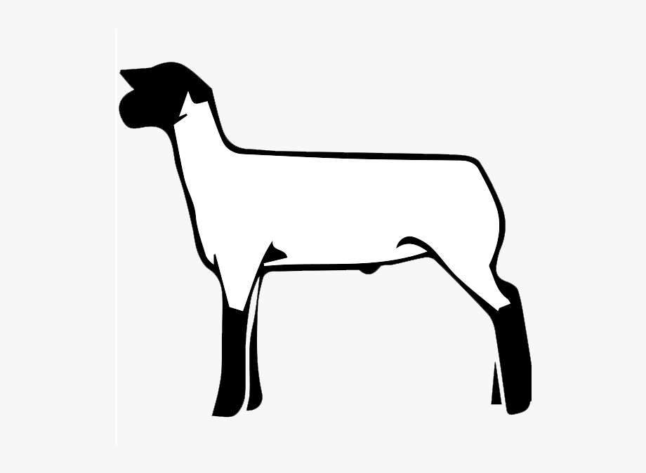 Lamb Clipart Black And White.