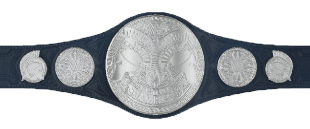 Smackdown Tag Team Championship.