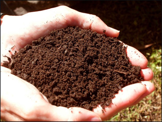 Clipart Soil.