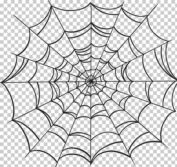 Spider web Drawing, spider PNG clipart.