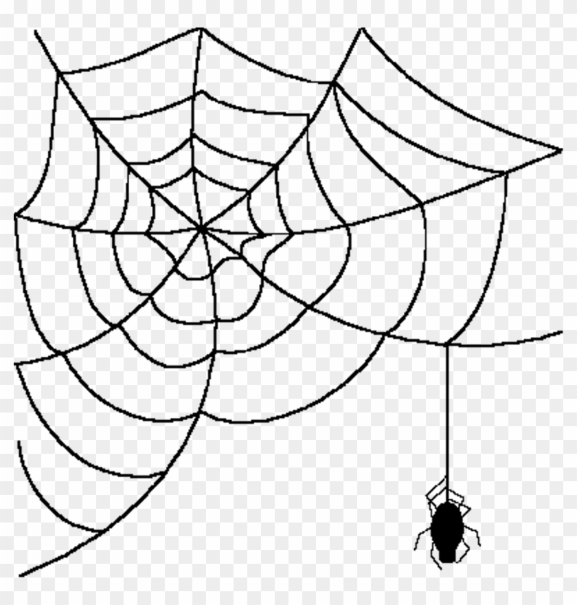 Cartoon Spider With Web , Png Download.