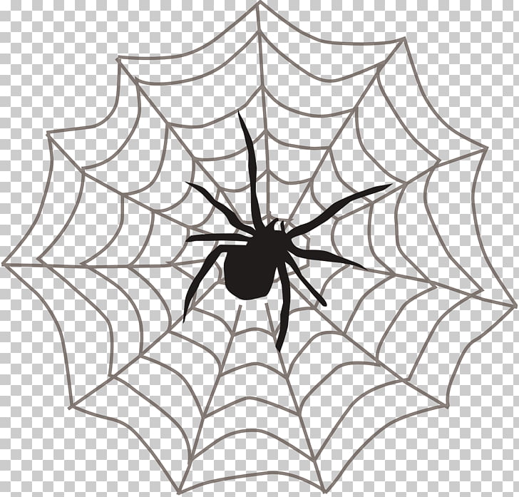 Spider web Itsy Bitsy Spider , Spider web spider PNG clipart.