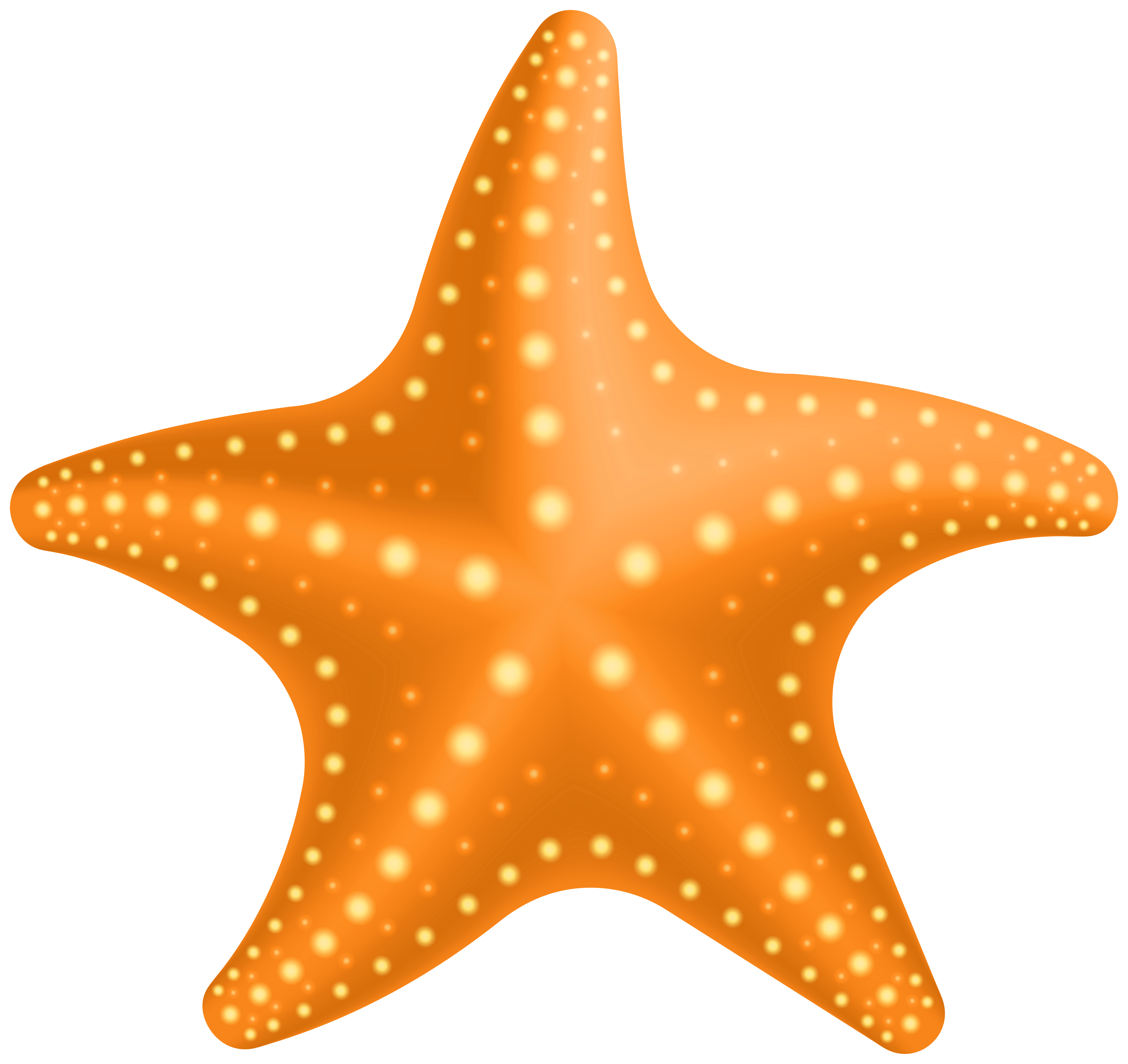 Starfish PNG Clipart.