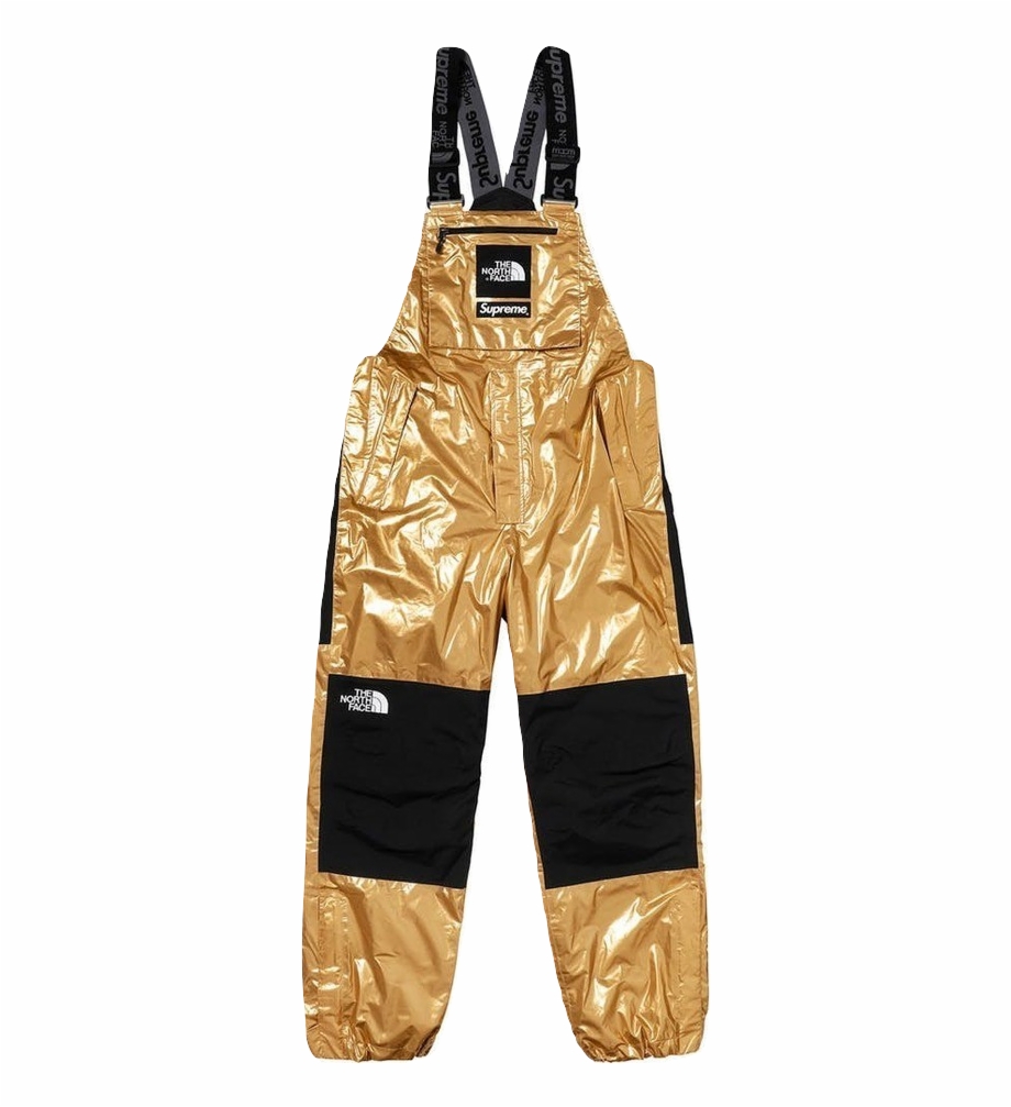 Supreme/the North Face Metallic Mountain Bib Pant.