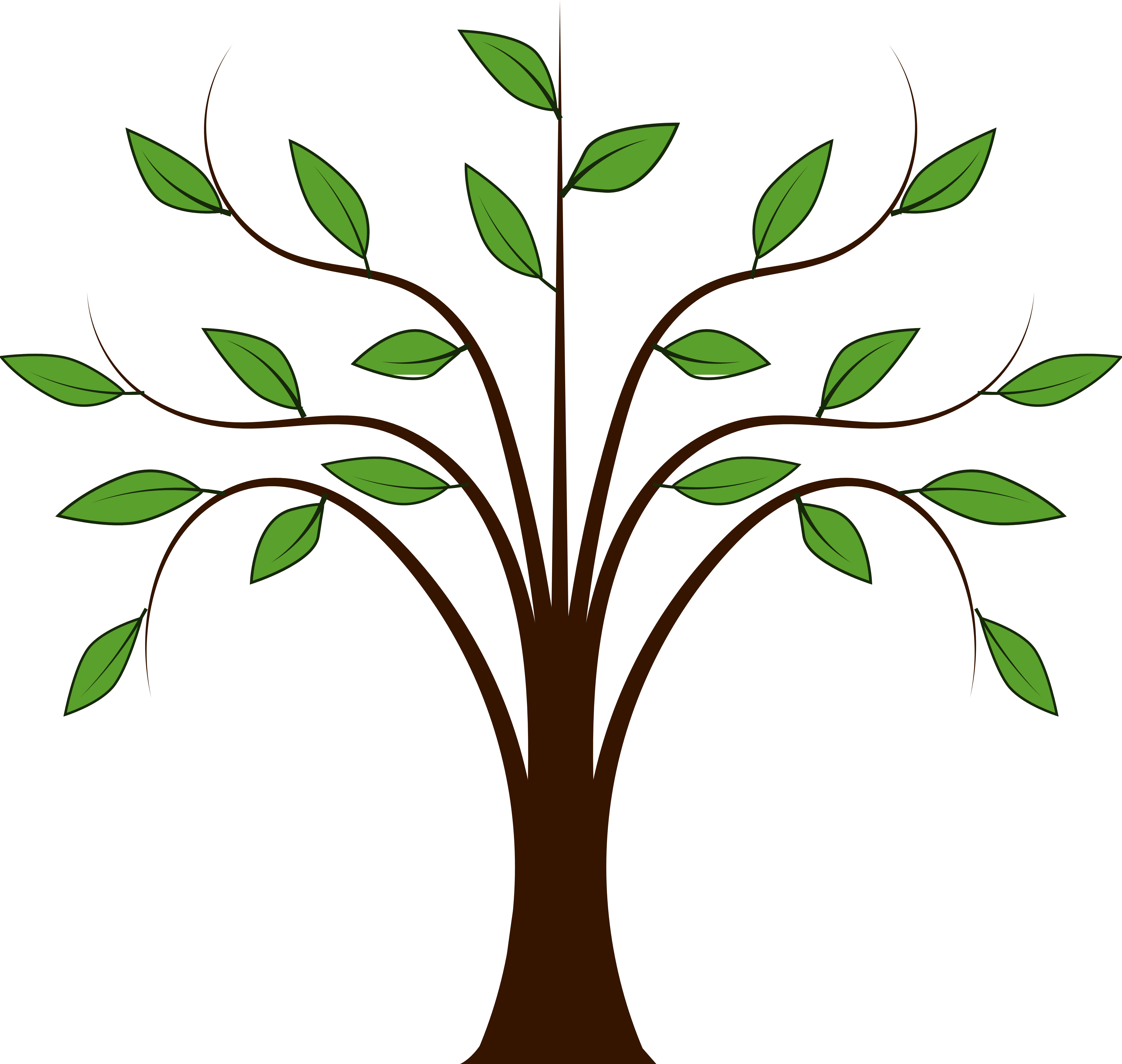 Family tree branches clipart.