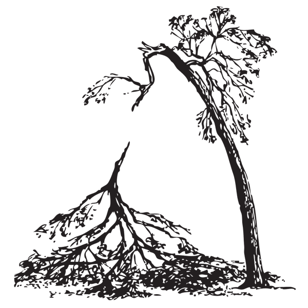 Storm damage tree clipart.