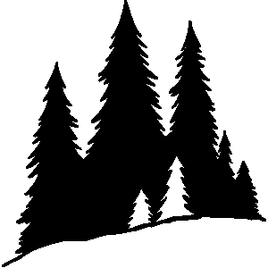 Pine tree woods clipart black and white.