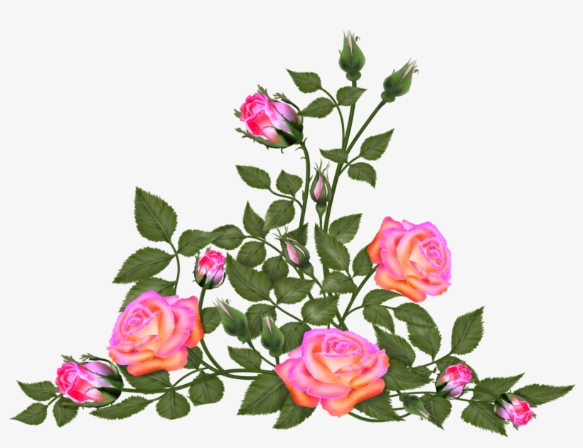 Tubes Png Centerblog Fleurs Transparent PNG.