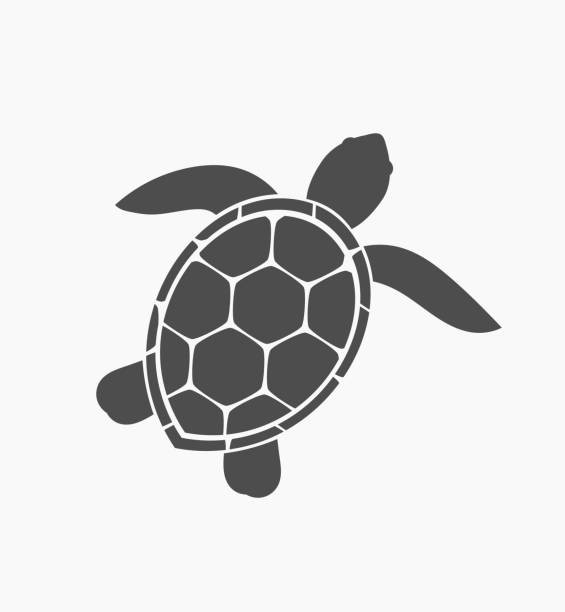 Sea Turtle Clipart & Free Sea Turtle Clipart.png Transparent.