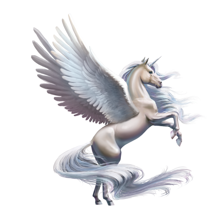 Unicorn PNG Images Free Download searchpng.com.