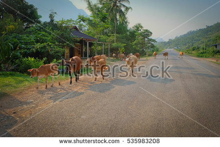 Vangvieng Foto, immagini royalty.