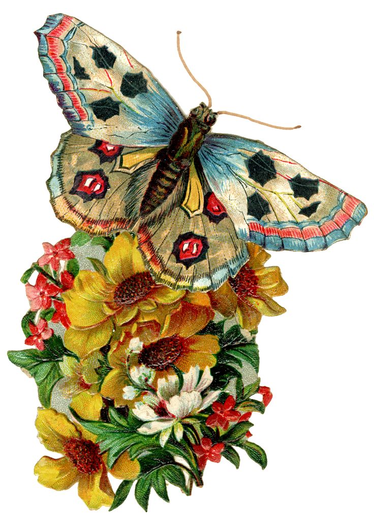 Victorian Butterfly Clipart.