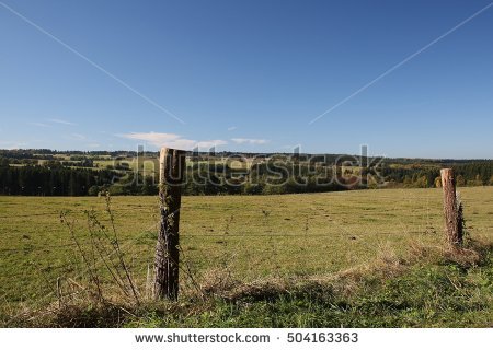 Portfolio von Edgar Biehle auf Shutterstock.