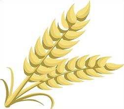 Free Wheat Clipart.