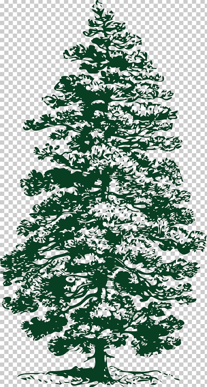 Eastern White Pine Tree PNG, Clipart, Art, Black And White.