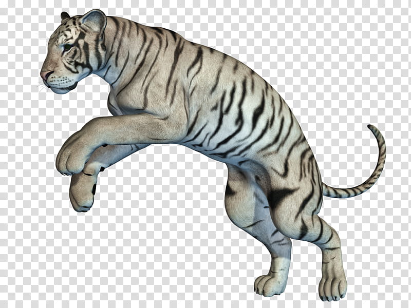 White Tiger , white and black tiger figurine transparent.