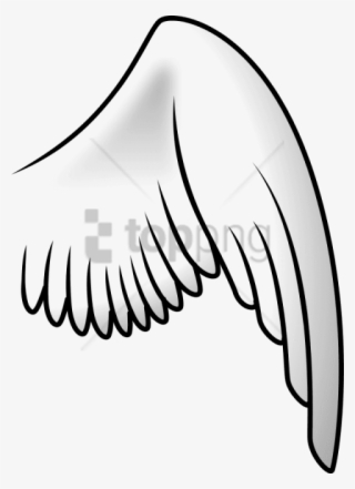 Bird Wings PNG Images.