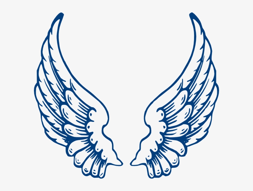 Angel Wings Vector PNG & Download Transparent Angel Wings Vector PNG.