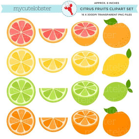 Citrus Fruits Clipart Set.