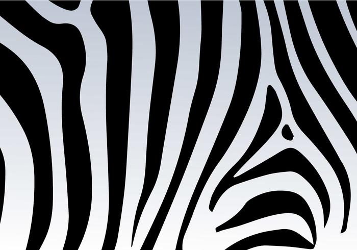 Zebra Print Vector Background.