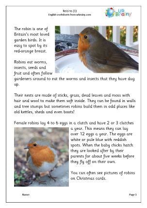 Preview of worksheet Robin (1)