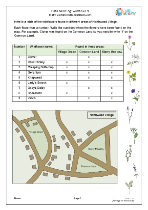 Preview of worksheet Data handling: wild flowers