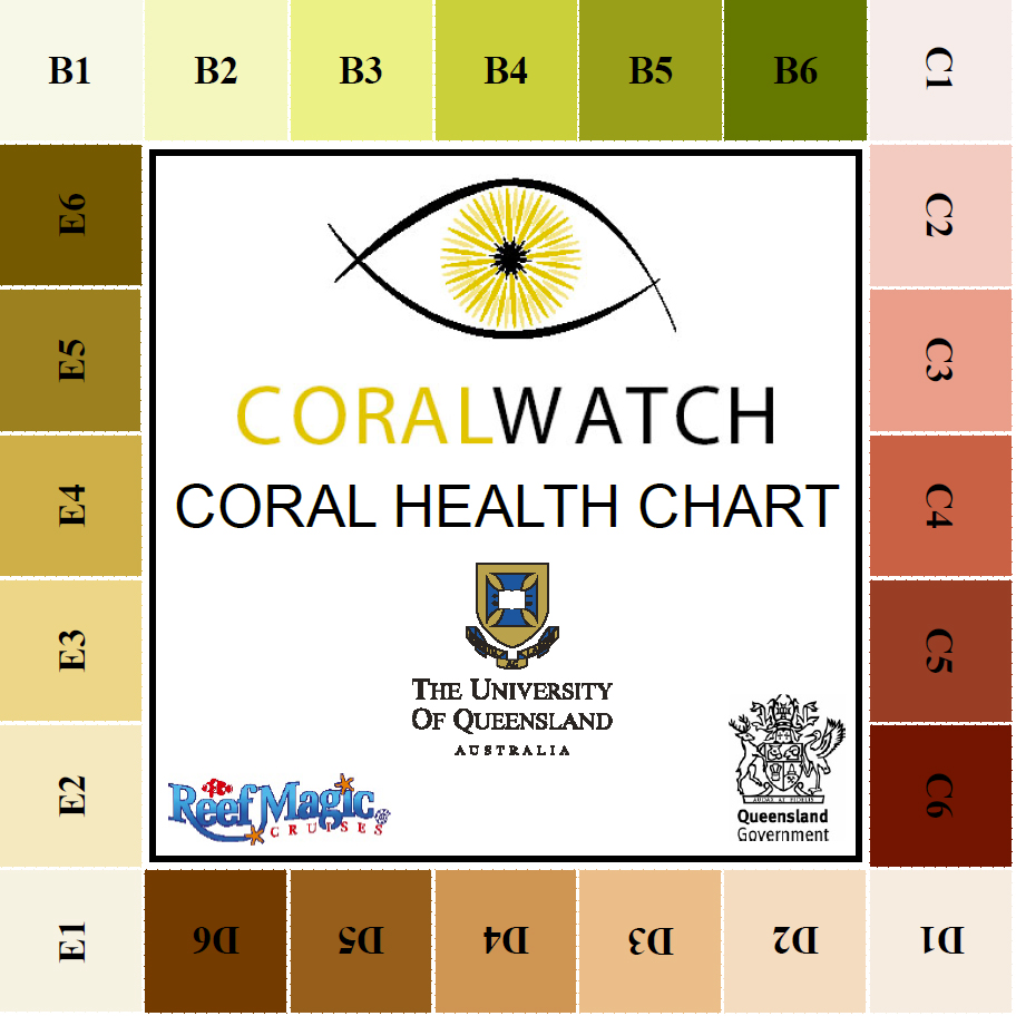 Coral Colour Chart: A Visual Reference of Charts | Chart Master